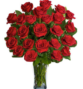 36-rose-rosse