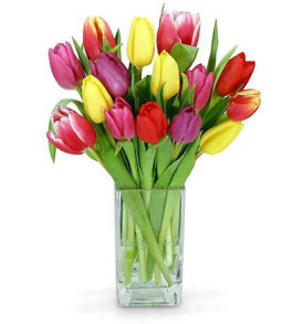 bouquet-di-tulipani-colorati
