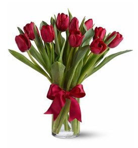 bouquet-di-tulipani-rossi