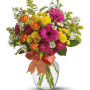 bouquet-gerbere-rose-margherite