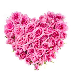 cuore-di-rose-rosa