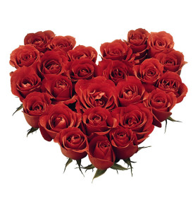 cuore-di-rose-rosse