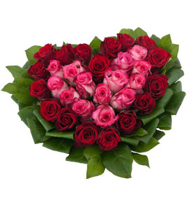 cuore-di-rose-rosse-e-rosa