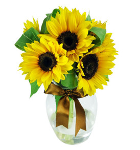 tre-girasoli