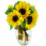 tre-girasoli