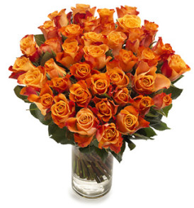 50 rose arancio