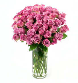 50_Purple_Roses_Angle_Shot__05280.1416925739.500.750
