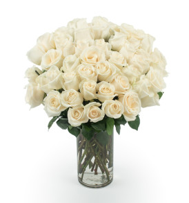 50_White_Roses_Angle_shot__94353.1416926100.500.750