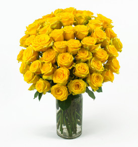 50_Yellow_Roses_Angle_Shot__72732.1416926184.500.750