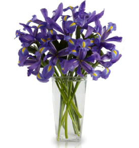 bouquet-di-iris