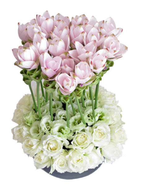 curcuma e rose bianche