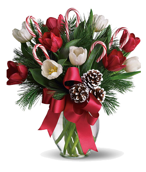 bouquet-natalizio-con-tulipani-bianchi-e-rossi