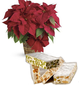 stella-di-natale-rossa-con-torrone